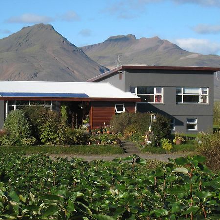 Dilksnes Guesthouse هوفن المظهر الخارجي الصورة